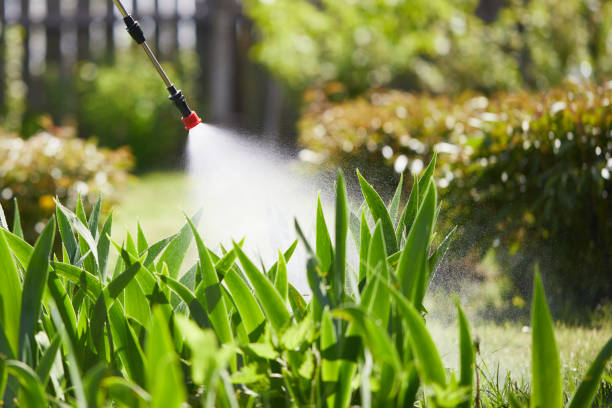 24/7 Emergency Ant Control experts in Magee, MS